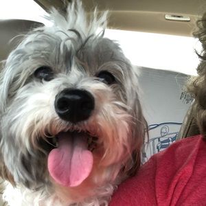 Meet your Posher, Rebecca